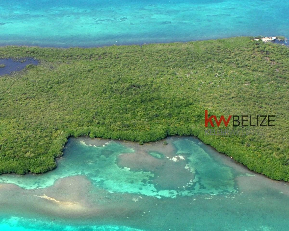 41.18 acres on the southern half of Columbus Caye