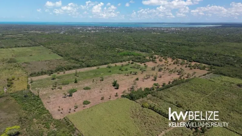43+ Acres Near Corozal Town
