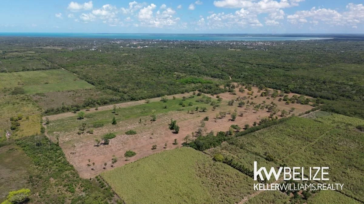 43+ Acres Near Corozal Town