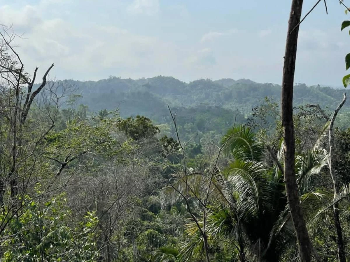 #56VG+66F Belmopan, Belize