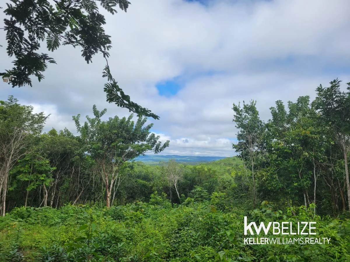 7 BEAUTIFUL ACRES IN CALLA CREEK