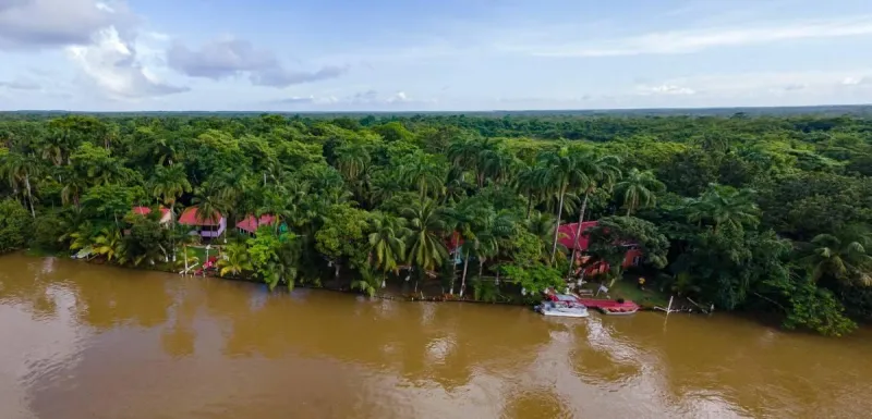 #Banks of the Old Belize River