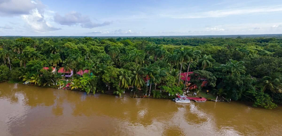 #Banks of the Old Belize River