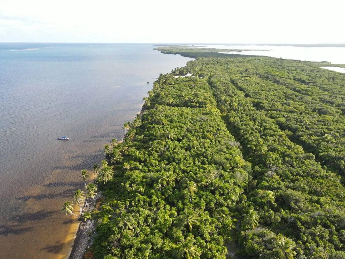 #Belize Beachfront Lot Palm Bay Club Ambergris Caye