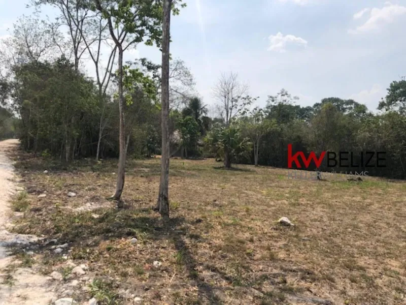 Belize Five Prime Lots for Sale San Ignacio
