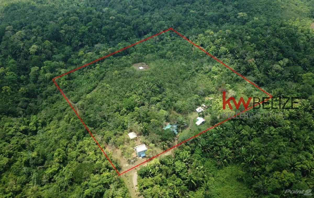 #Belize Lost World Jungle Resort Hummingbird Highway