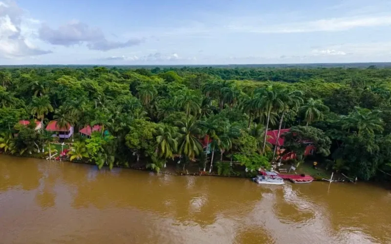 #Banks of the Old Belize River