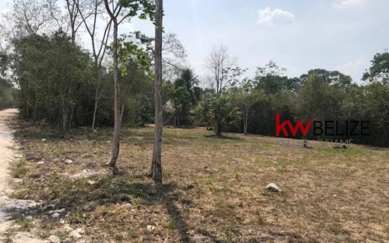 Belize Five Prime Lots for Sale San Ignacio