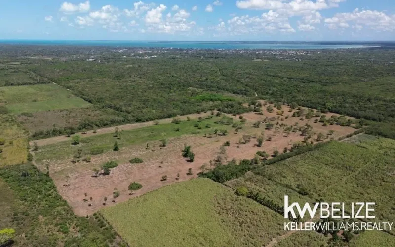 43+ Acres Near Corozal Town