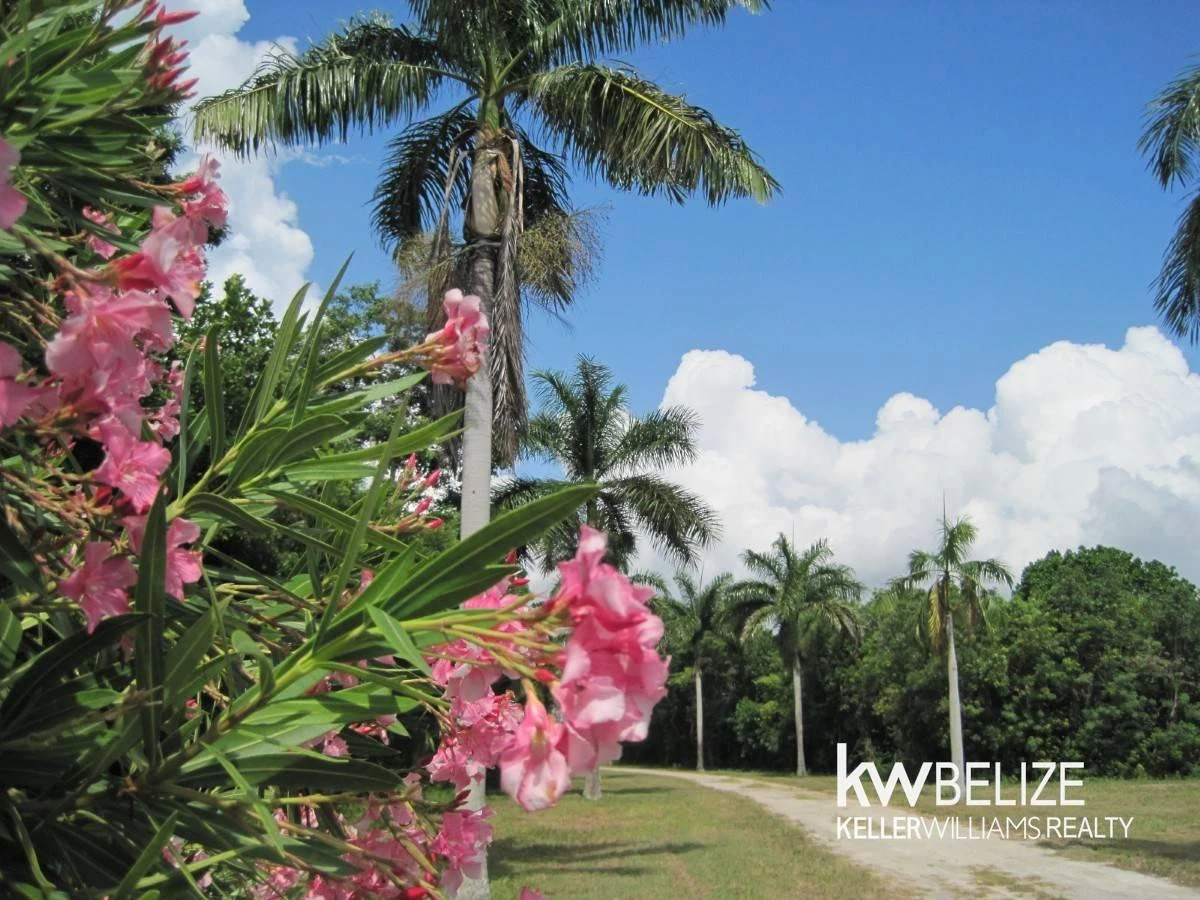 Corozal Belize Waterfront Development Opportunity