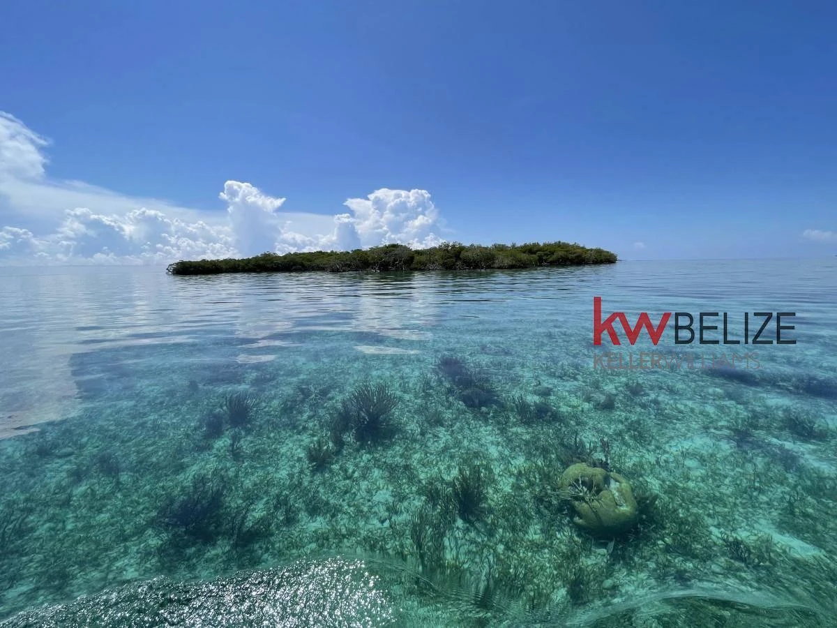 Price Reduction: .25 Acre Island off Placencia Peninsula