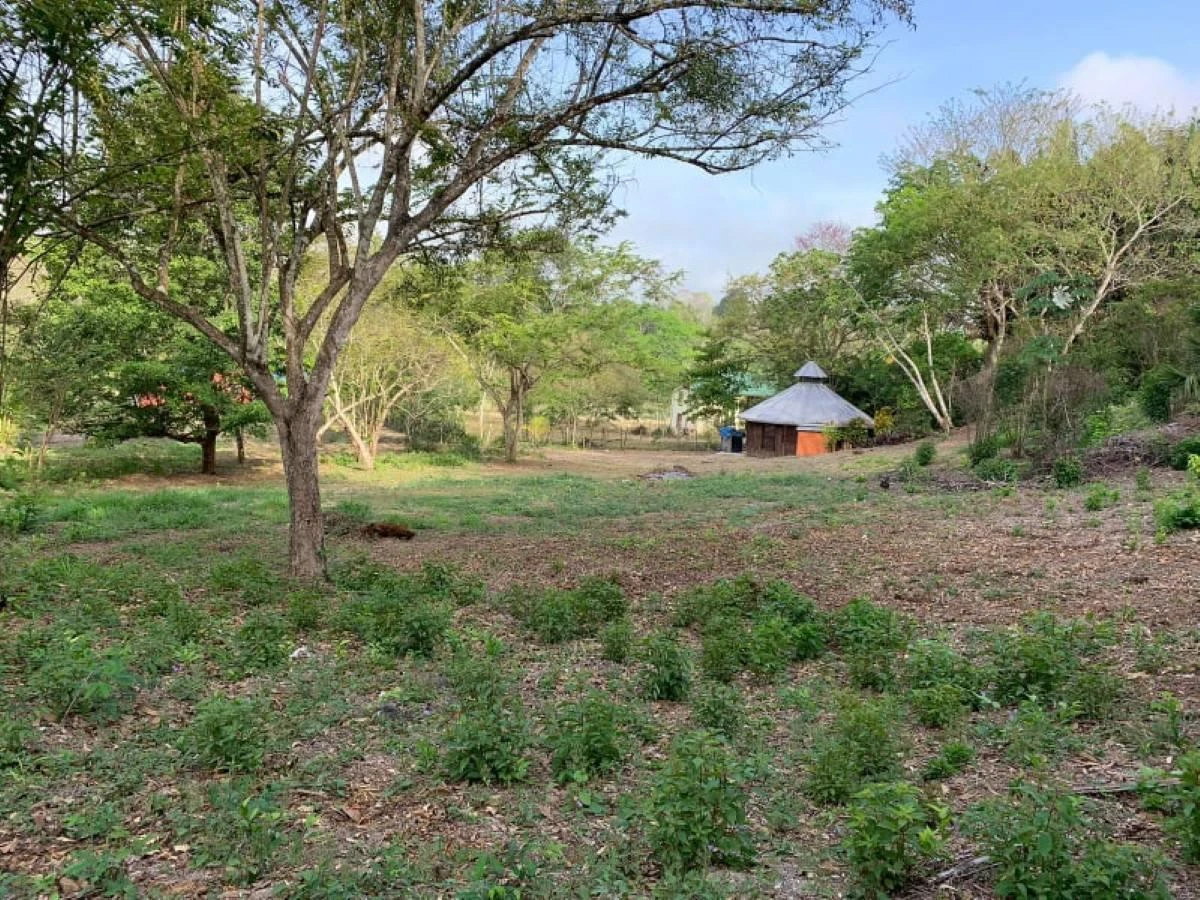 #Residential Lot with Casita in Bullet Tree