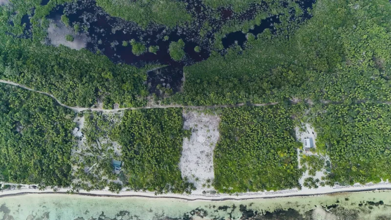 Stunning 150 ft Beachfront Property