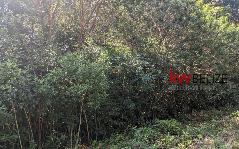 Lagoon Front Property on Northern Highway Corozal