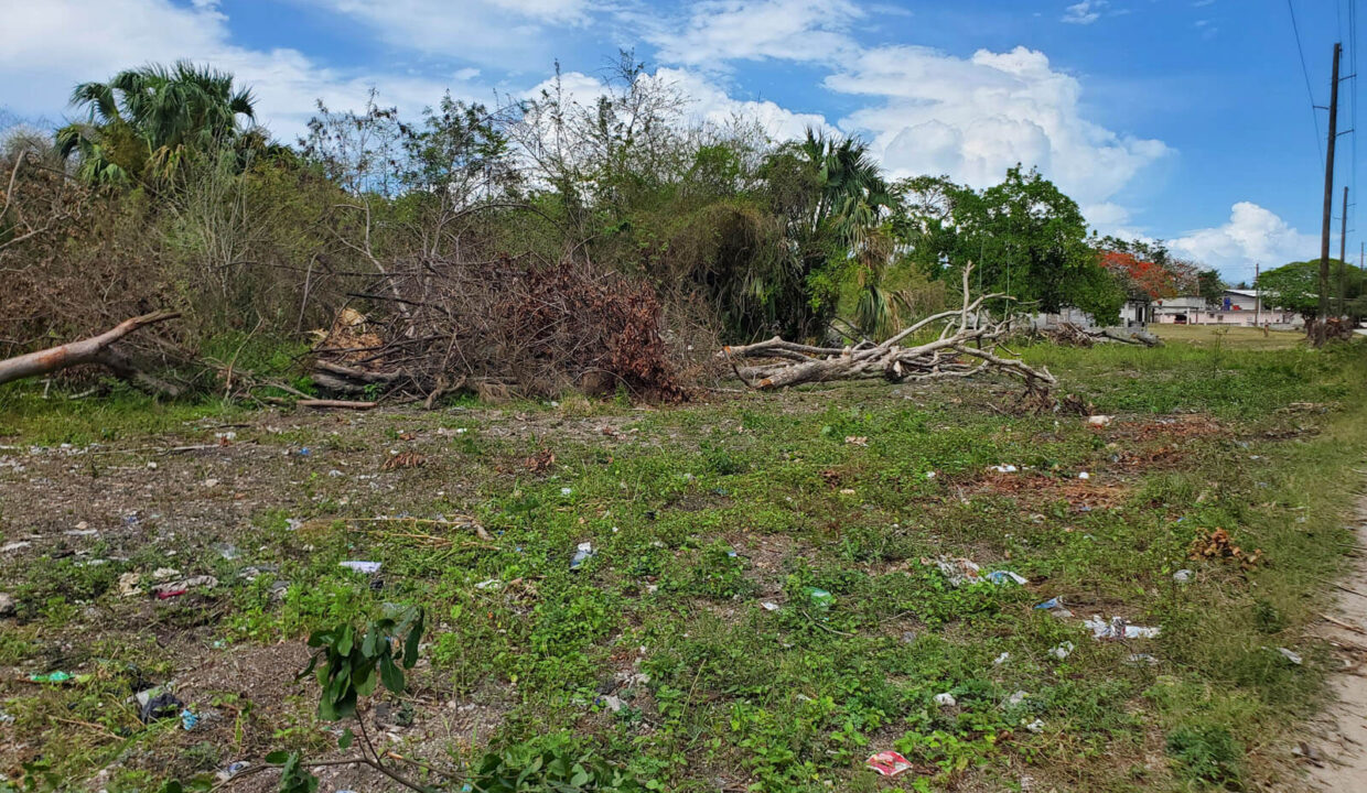 Land for Sale in Corozal Town
