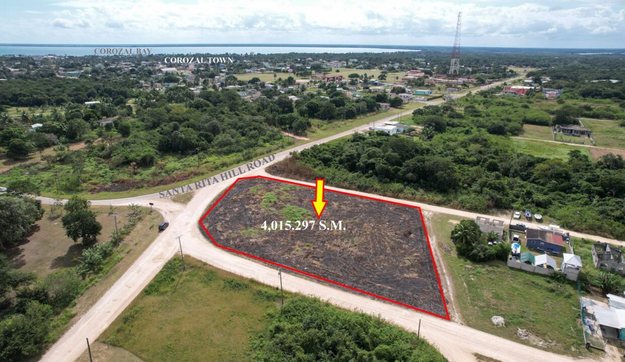 Large Commercial/Residential Parcel of Land for Sale in Corozal town