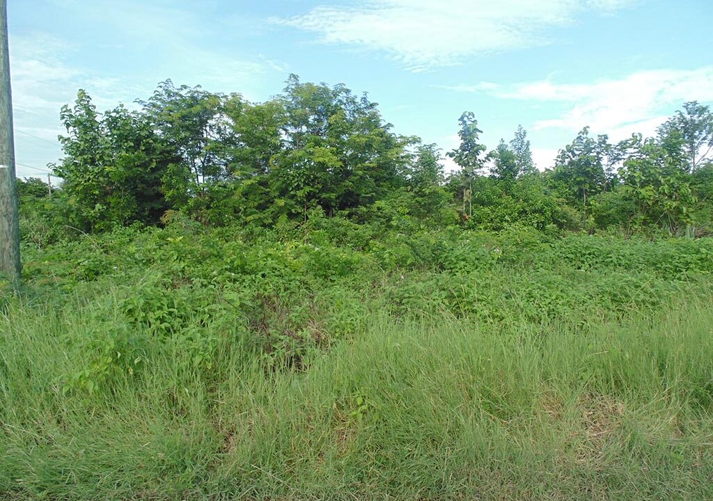 Large Residential Lot Located in Corozal