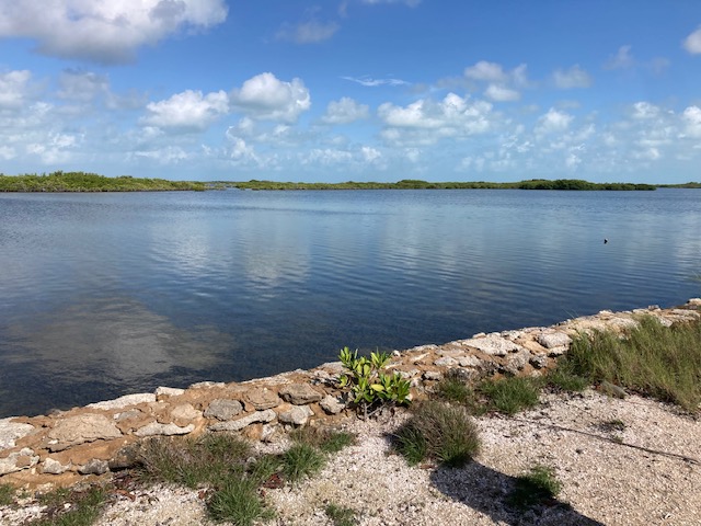 Large Waterfront Parcel for Development or Estate