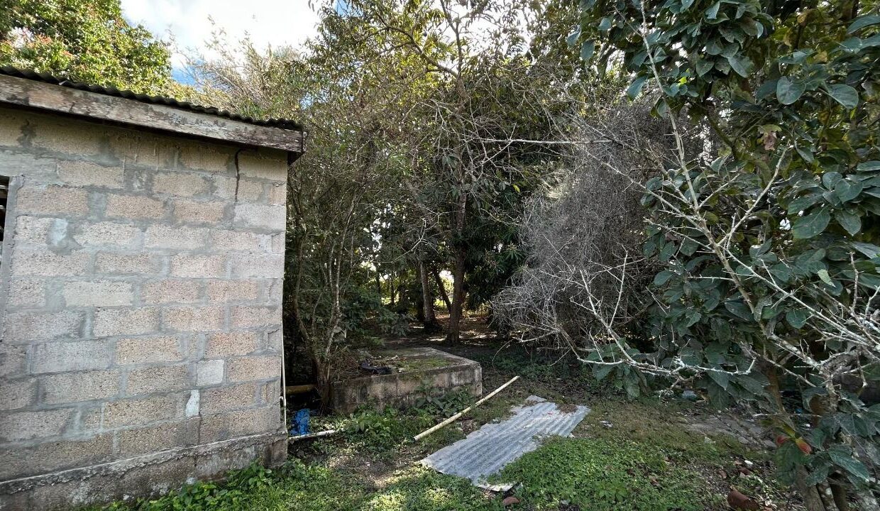Listing 3003 – Corner Lot Fixer-Upper with Two Structures – Carmelita Village, Orange Walk District
