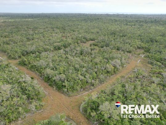L5939 - Lot 636 Mullins River