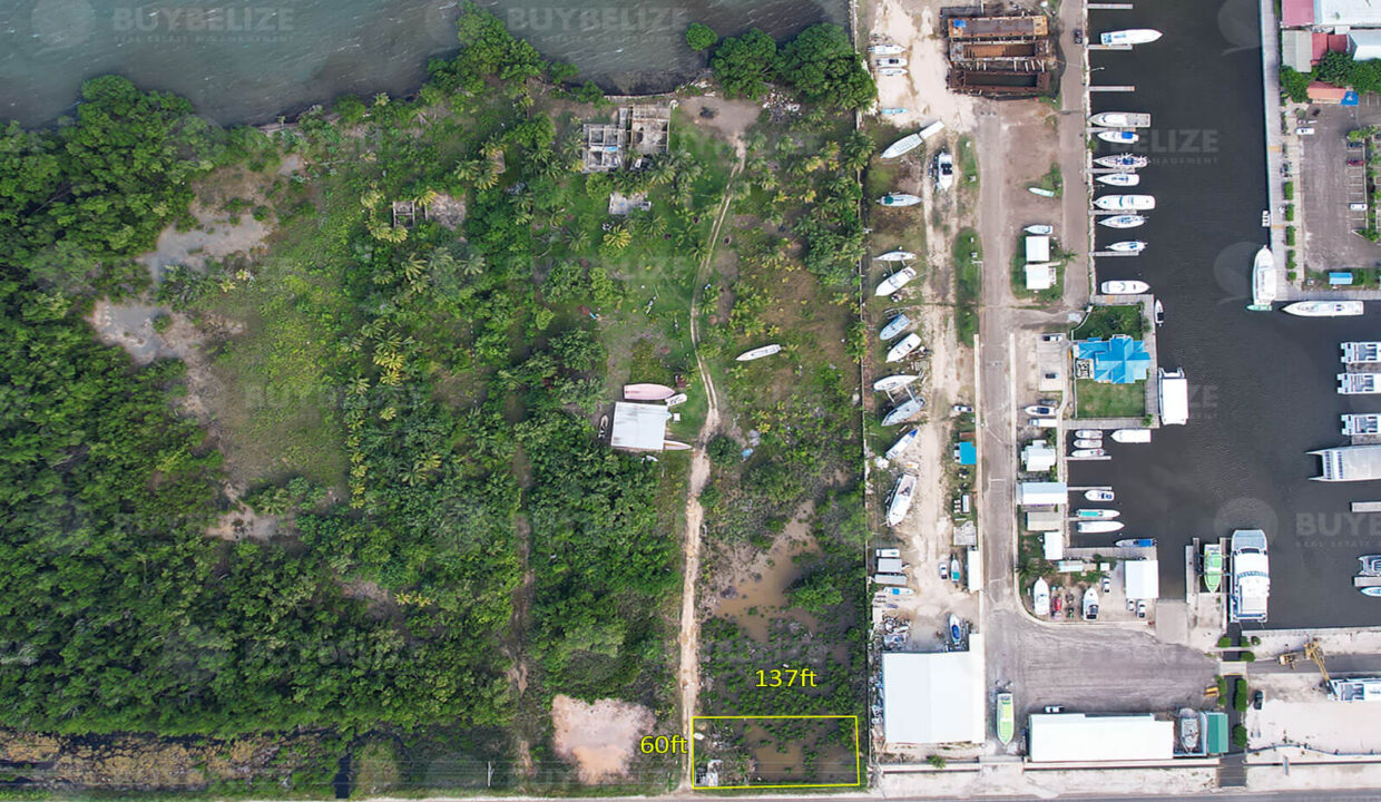 Lot for Sale on the George Price Highway