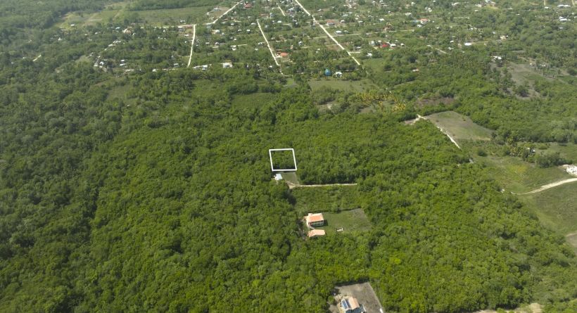 Lot situated on the Southside of San Ignacio, Bullet Tree, Cayo.
