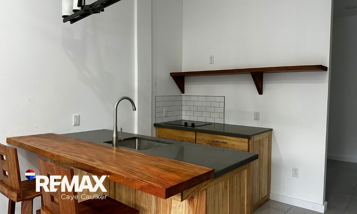 Luxury Home With Rental Units