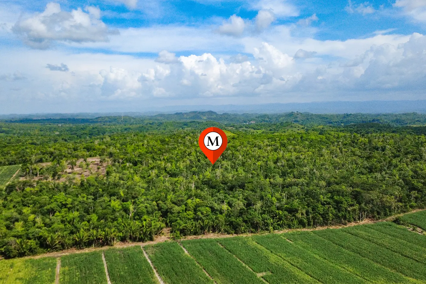 24.68 Acres of Virgin Land Surrounded by Farmland – Cayo District, Belize