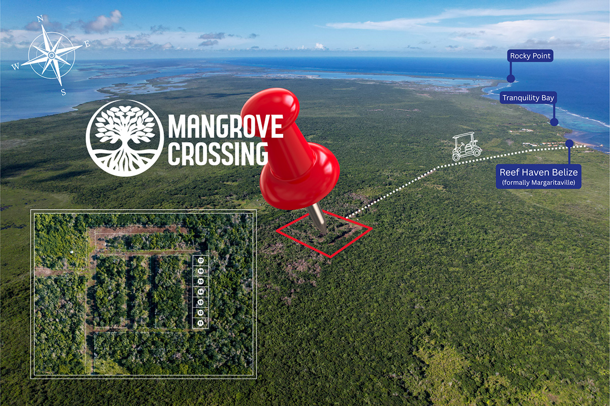 Mangrove Crossing – Fertile Land for Sale on North Ambergris Caye, Belize – Lot #16