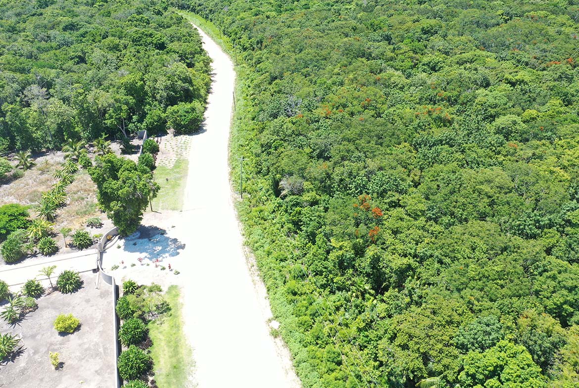 Investment Property/Farm Land/Ranches