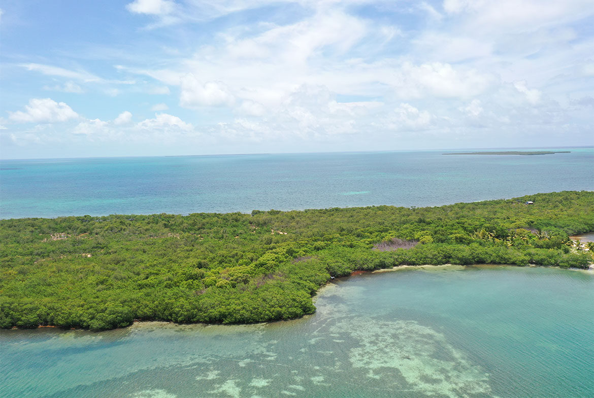 1.067 Acre on Cross Caye
