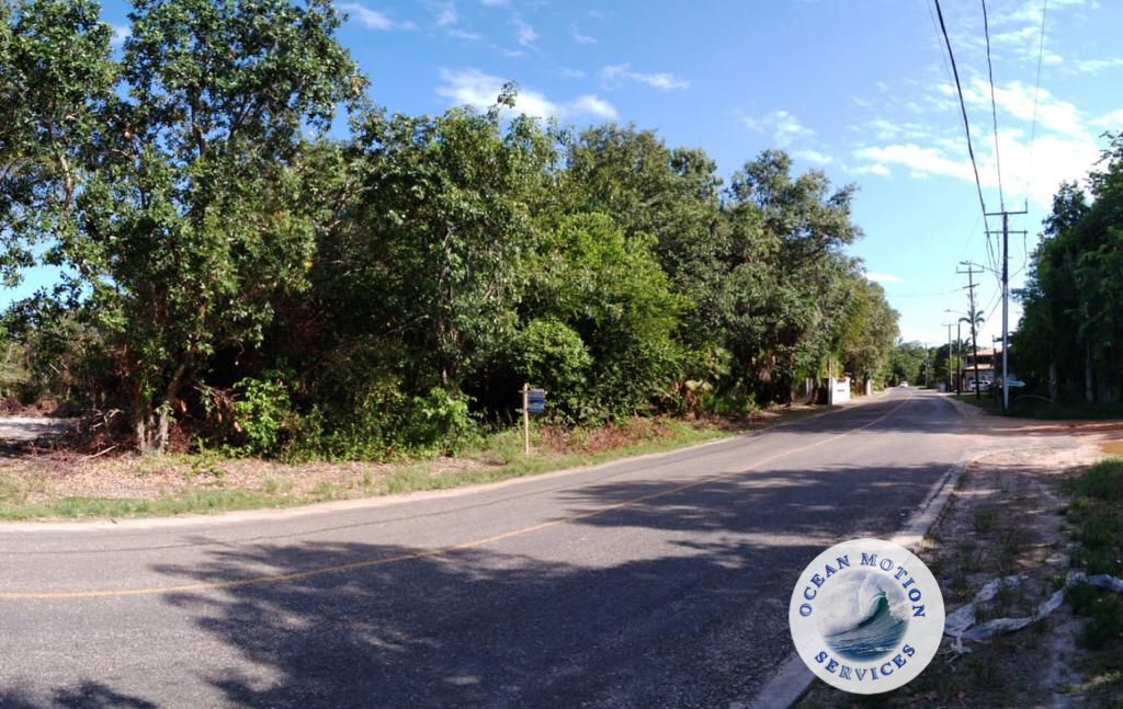 Amazing waterfront Beach/Seaview Lots for Sale, Placencia Village Belize