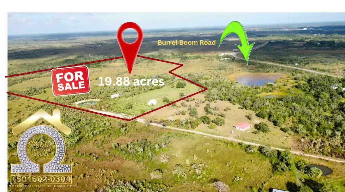 ✨ For Sale: 19.88 or Almost 20 Acres of Paradise!