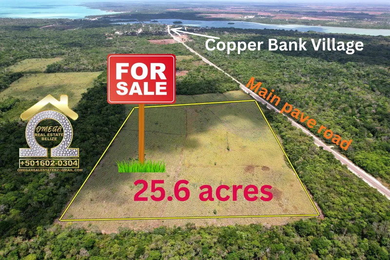 🌴 FOR SALE: 25.6 Acres of Prime Real Estate in Corozal District, Belize