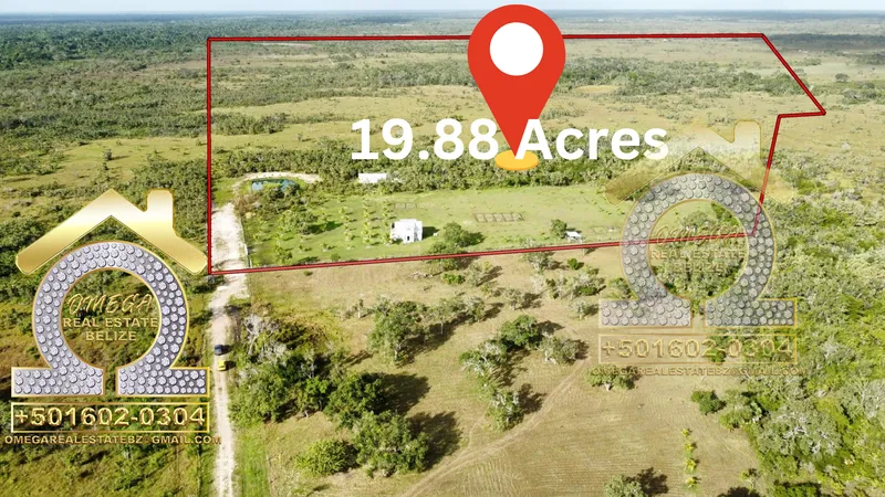 19.88 acres of Resort potential Property FOR SALE off Burrel-Boom highway