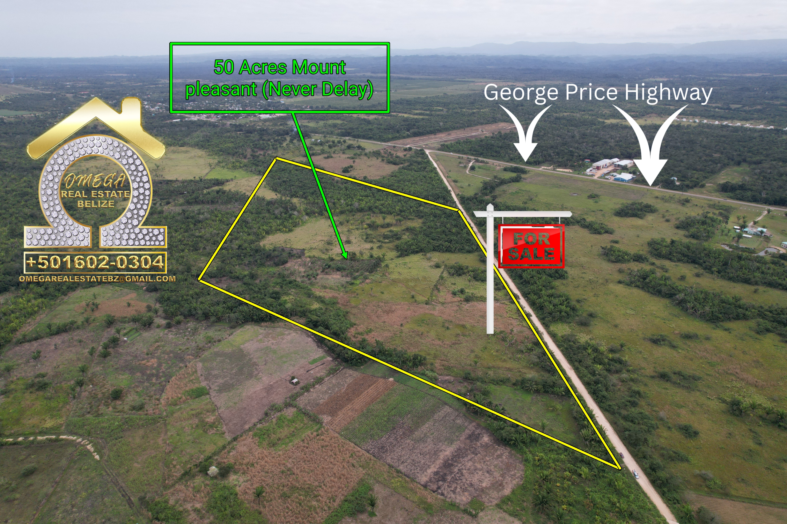 🔥 50 Acres for Sale on Never Delay Road, Belmopan – Prime Commercial & Agricultural Land | $425,000 BZD