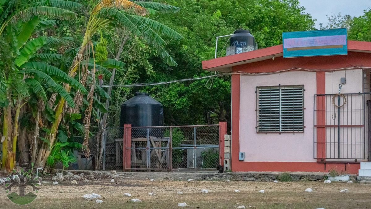 Operational 8-Acre Homestead just 5 minutes from Corozal Town!
