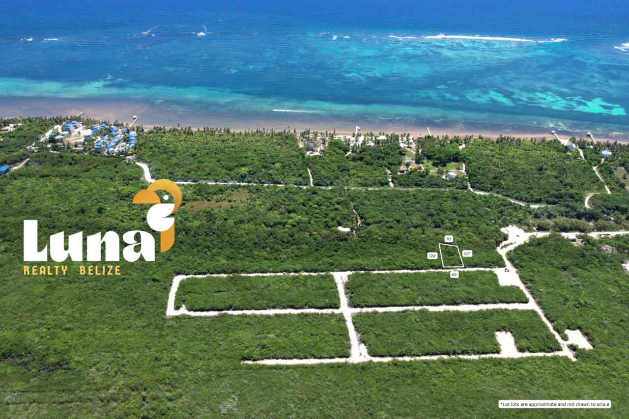 Oversized New Town Lot – Parcel 17553 with Seller Financing