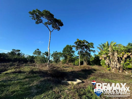 L1500 - OWN LAND IN BELIZE! Just Minutes from the Caribbean Sea In Hopkins.