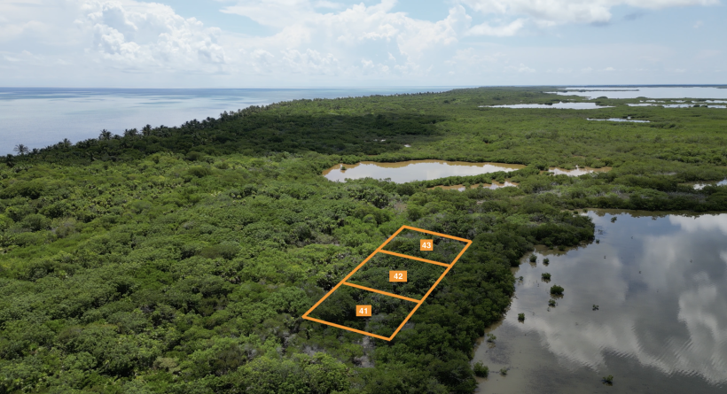 Palm Bay Club Investment Package - Lots 41, 42 &Amp; 43