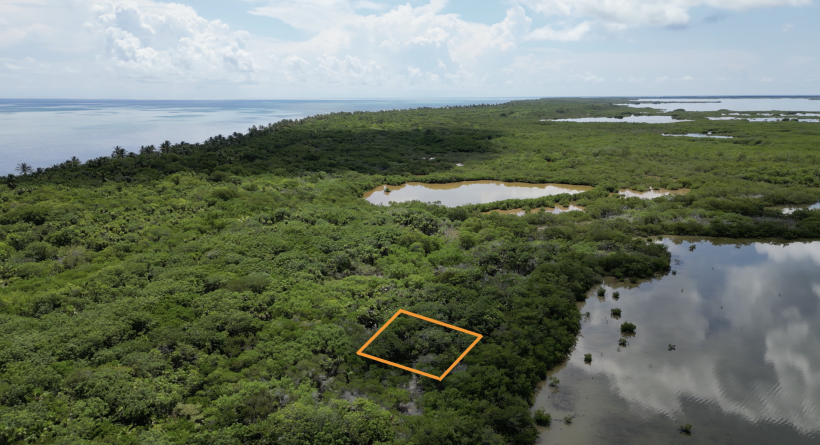 Palm Bay Club Investment Site - Lot 41