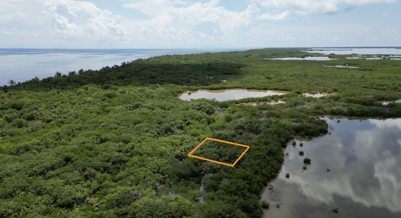 Palm Bay Club Investment Site - Lot 42