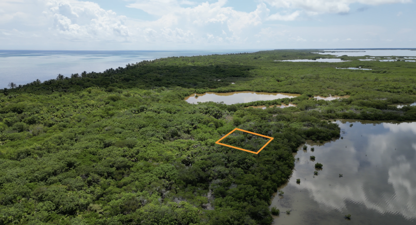 Palm Bay Club Investment Site - Lot 43