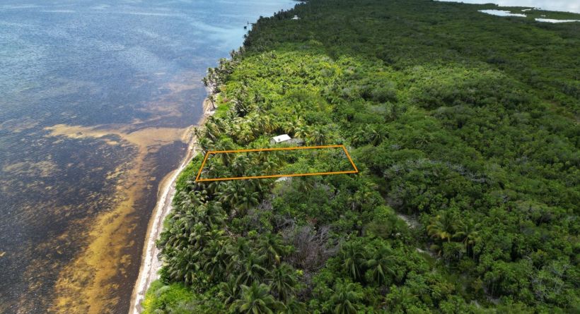 Palm Bay Club Lot 11- Beach Front Lot