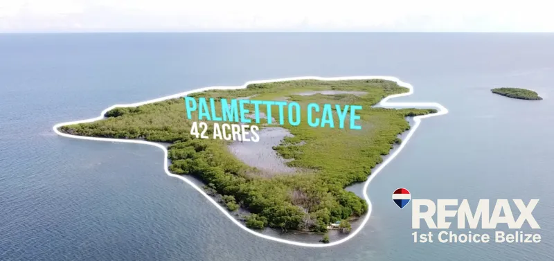 Palmetto Caye