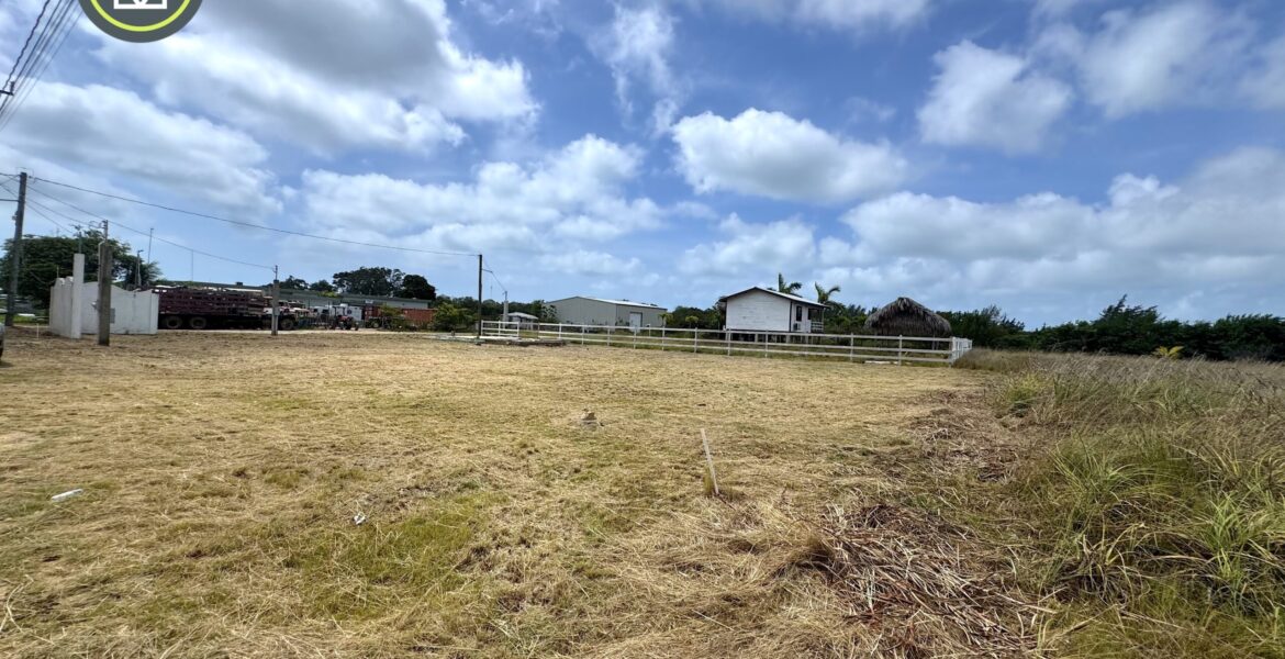 PB0026-Car Rental Business Opportunity–Turnkey Operation in Placencia, Belize