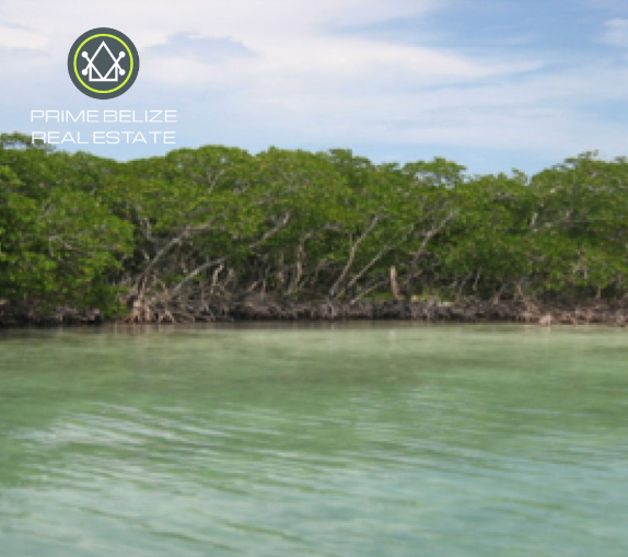 PI0052 – Morgan’s Caye – An Exceptional Private Island Opportunity