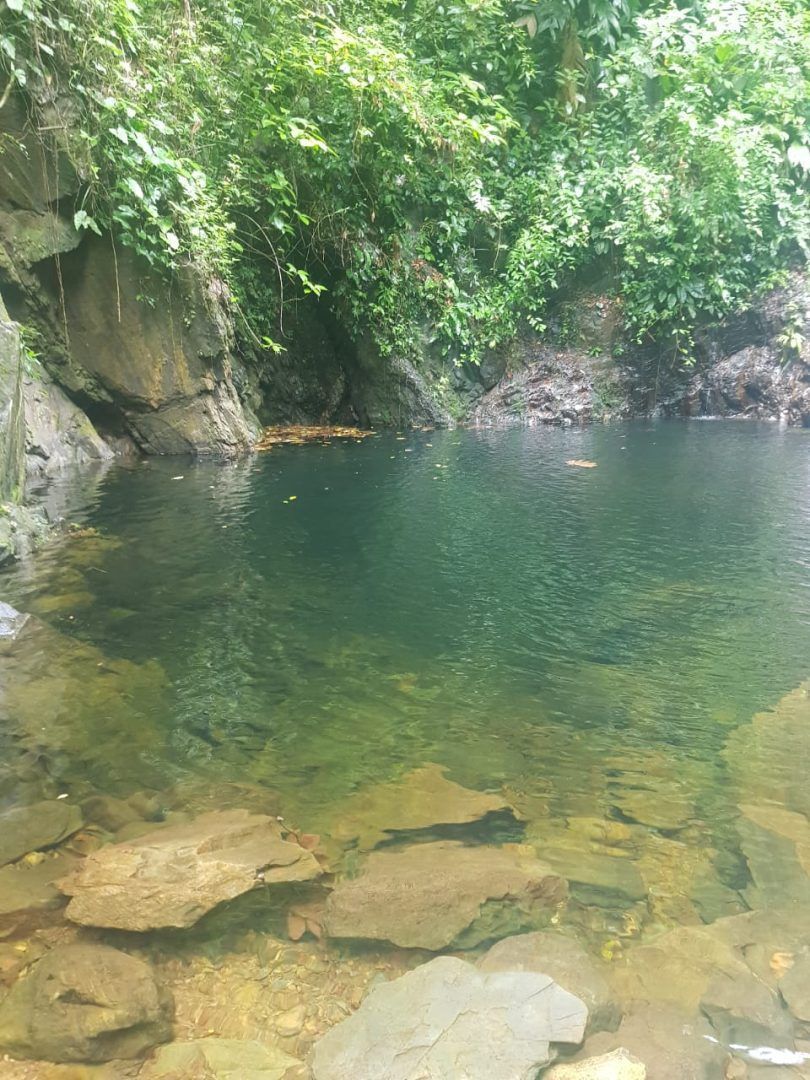 PL0010– 200 Acre Property presenting an enticing investment opportunity!