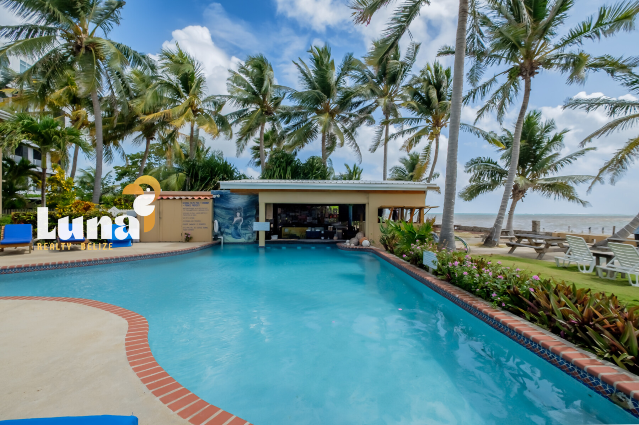 PRICE IMPROVEMENT - Cocos Loco - Iconic Beachfront Bar in Tres Cocos, Ambergris Caye