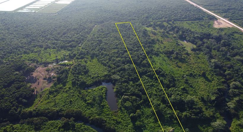 PRICE REDUCED! 16.5 Acres of forested land & Riverfront off the Coastal Highway